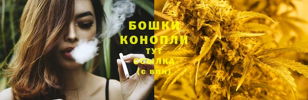 эйфоретик Заводоуковск